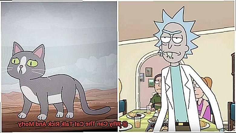 Why Can The Cat Talk Rick And Morty? - 21Cats.org - Why Does The Cat Talk Rick And Morty