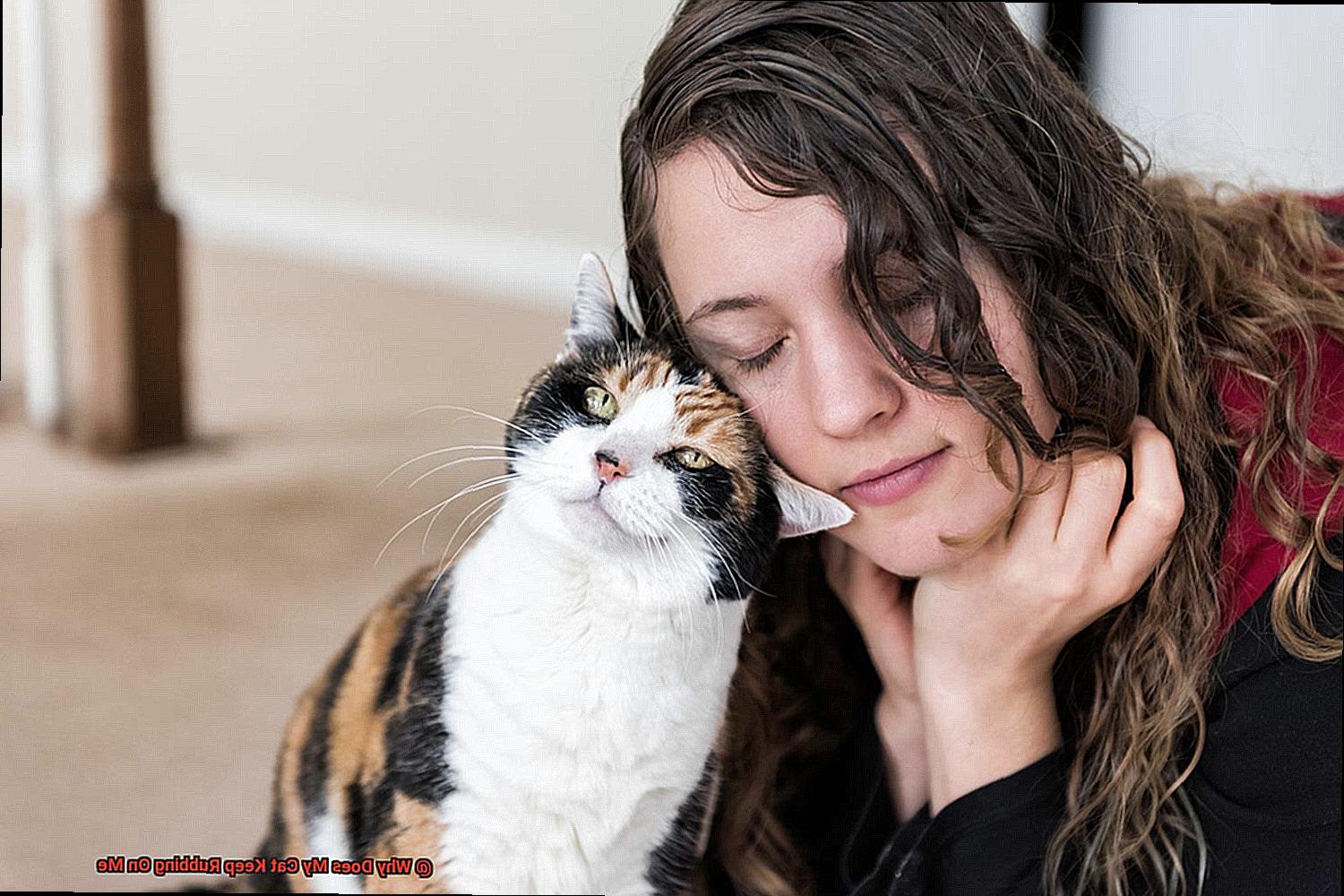 Why Does My Cat Keep Rubbing On Me?
