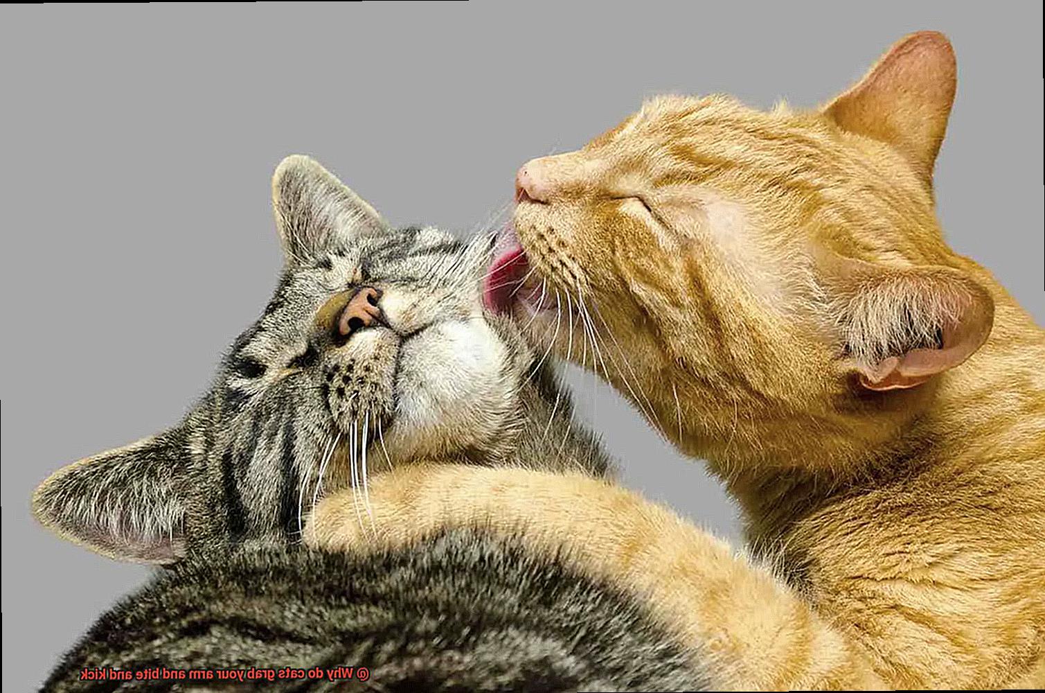 Why do cats grab your arm and bite and kick-8