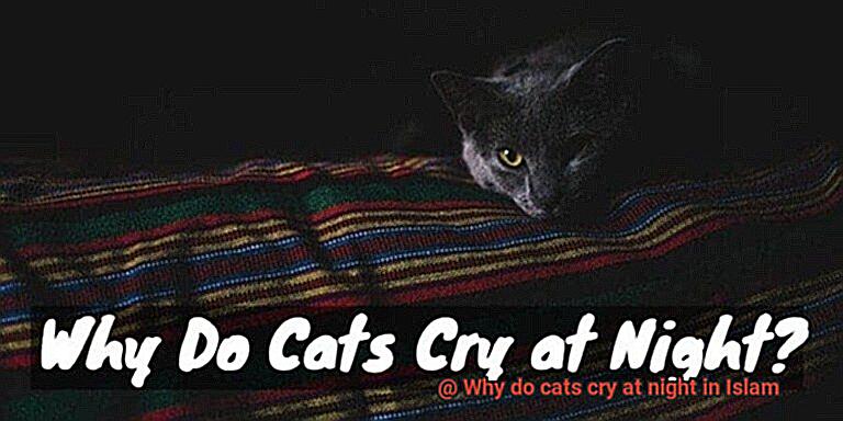 Why do cats grab your arm and bite and kick-4