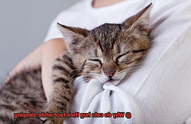 Why do cats hug their face while sleeping-5