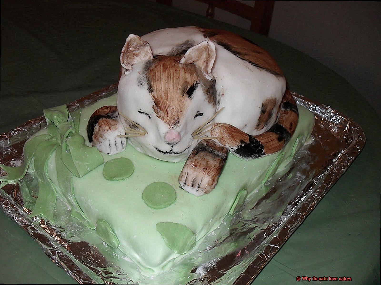 Why do cats love cakes-2