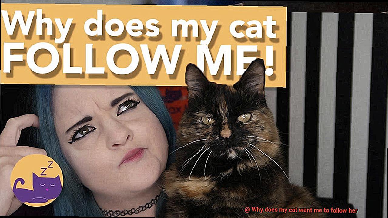 Why does my cat want me to follow her-4