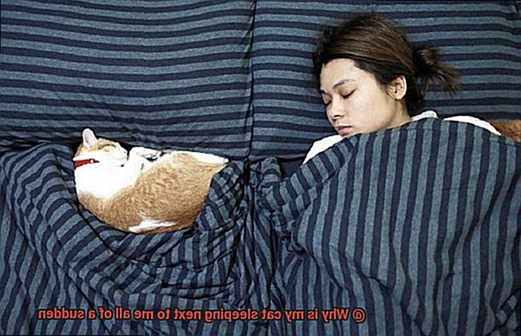 Why is my cat sleeping next to me all of a sudden-2