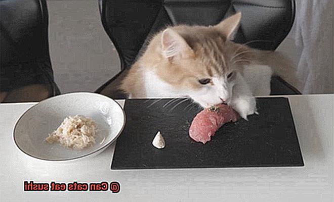 Can cats eat sushi-4