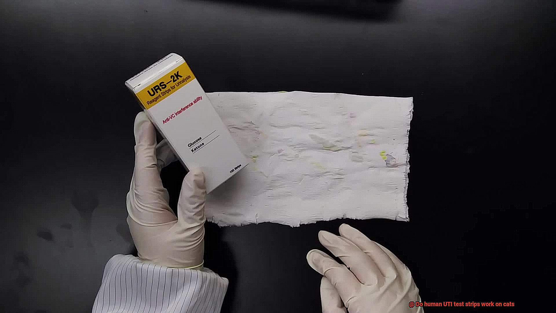 Do human UTI test strips work on cats-4