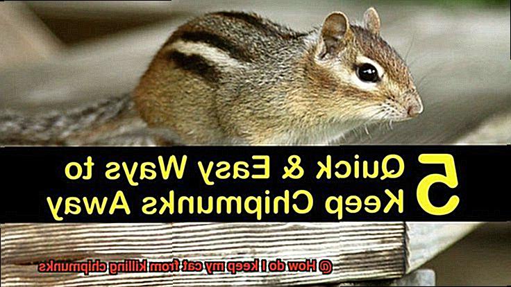 How do I keep my cat from killing chipmunks-4