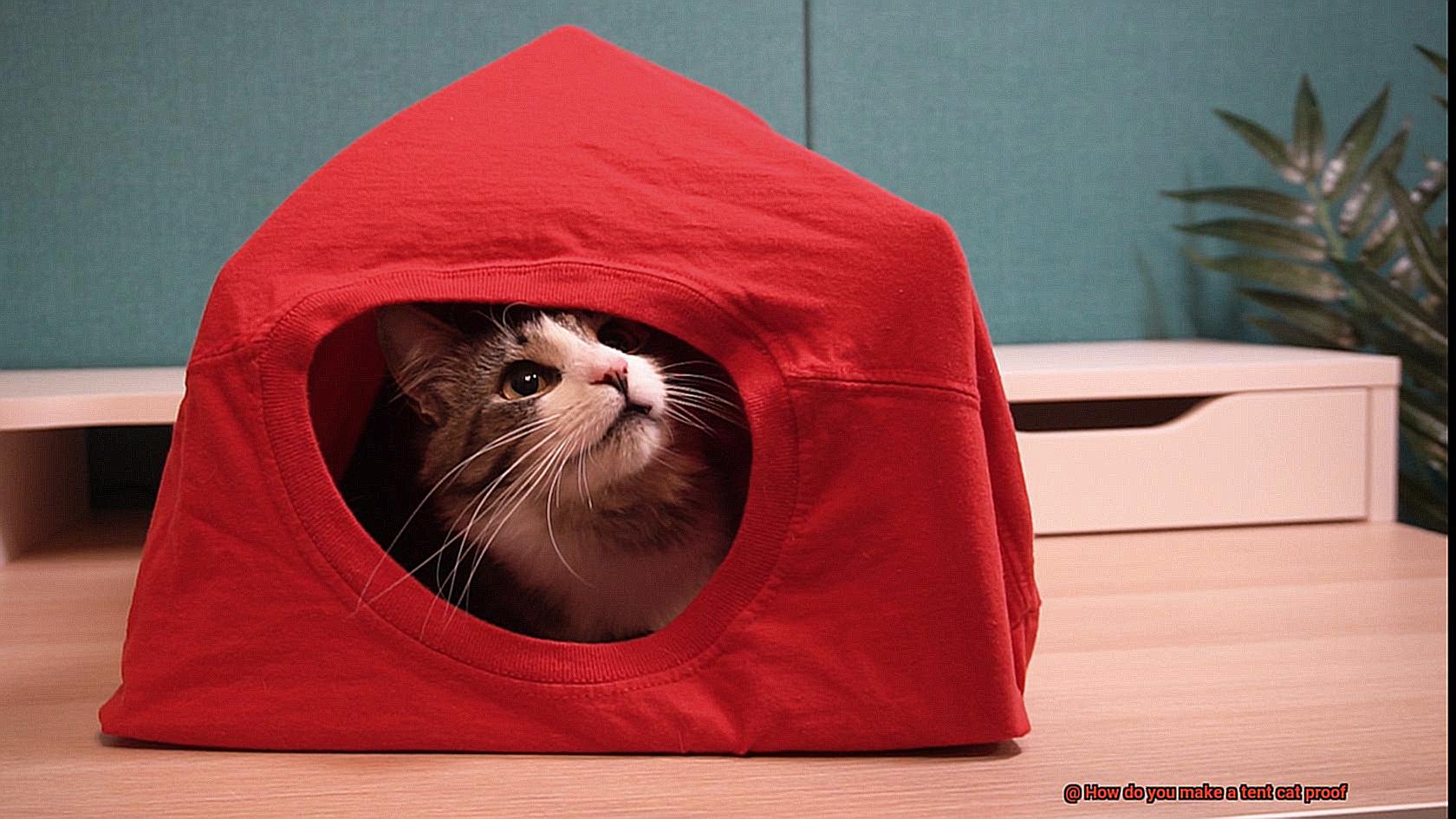 How do you make a tent cat proof-2