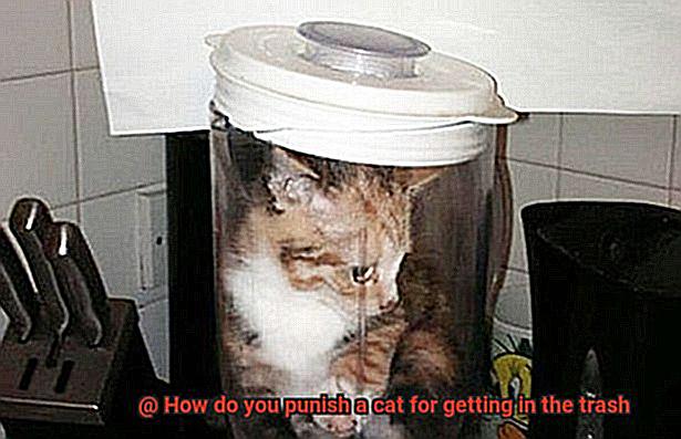 How do you punish a cat for getting in the trash-4