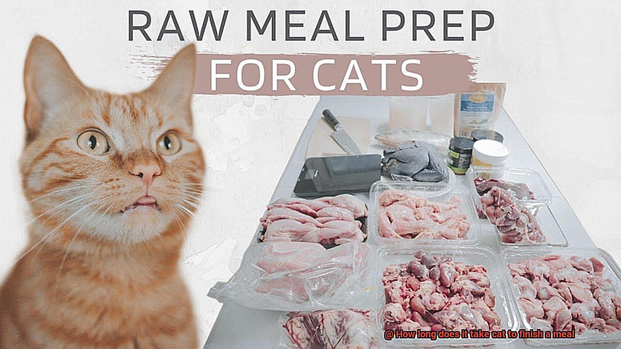 How long does it take cat to finish a meal-4