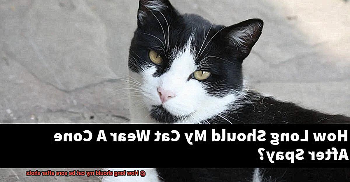 How long should my cat be sore after shots-3
