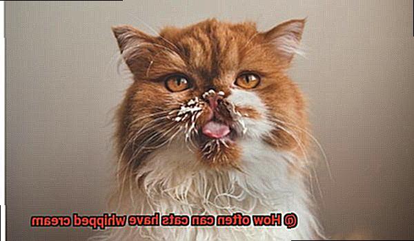 How often can cats have whipped cream-10
