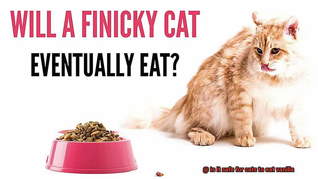 Is it safe for cats to eat vanilla-3