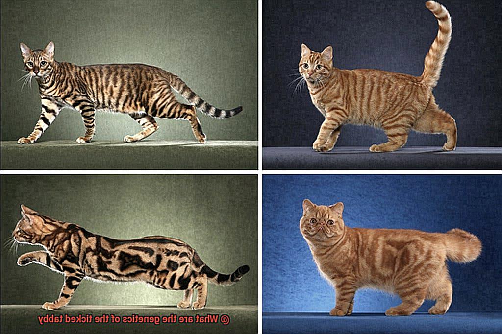 What are the mythical Greek cats-4