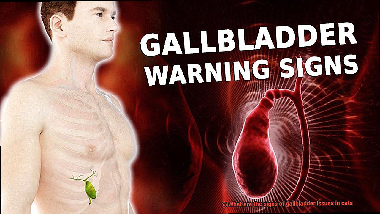 What are the signs of gallbladder issues in cats-2