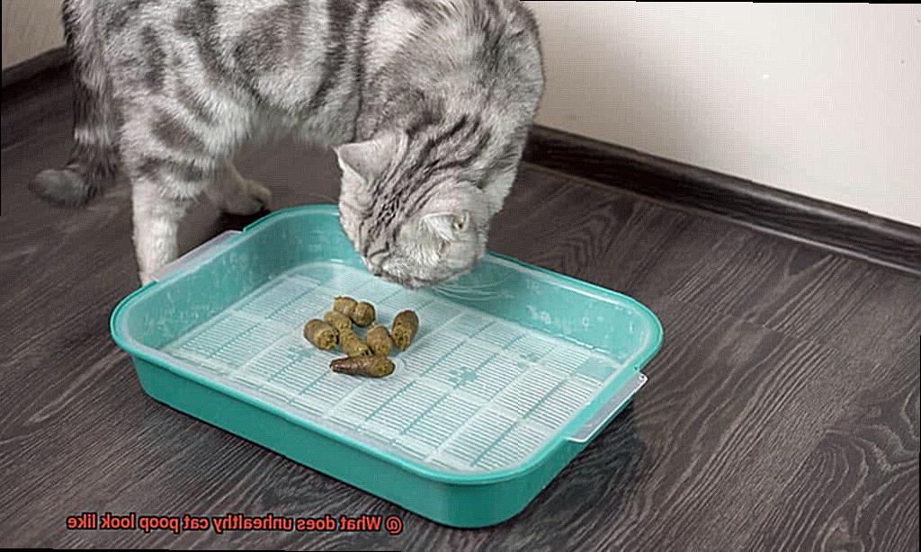 What does unhealthy cat poop look like?