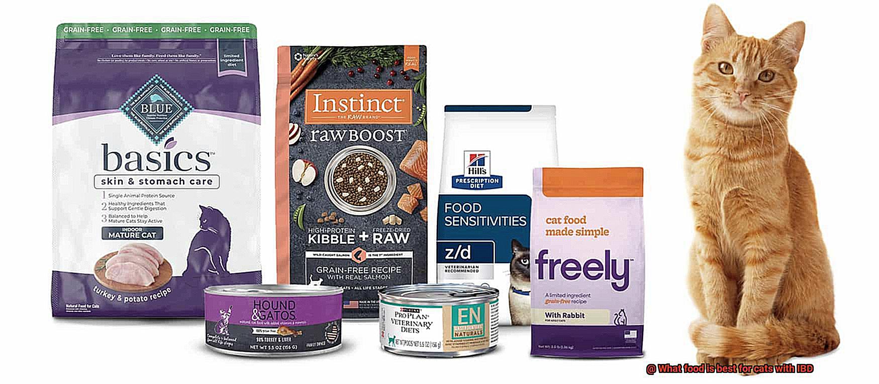 What food is best for cats with IBD-2