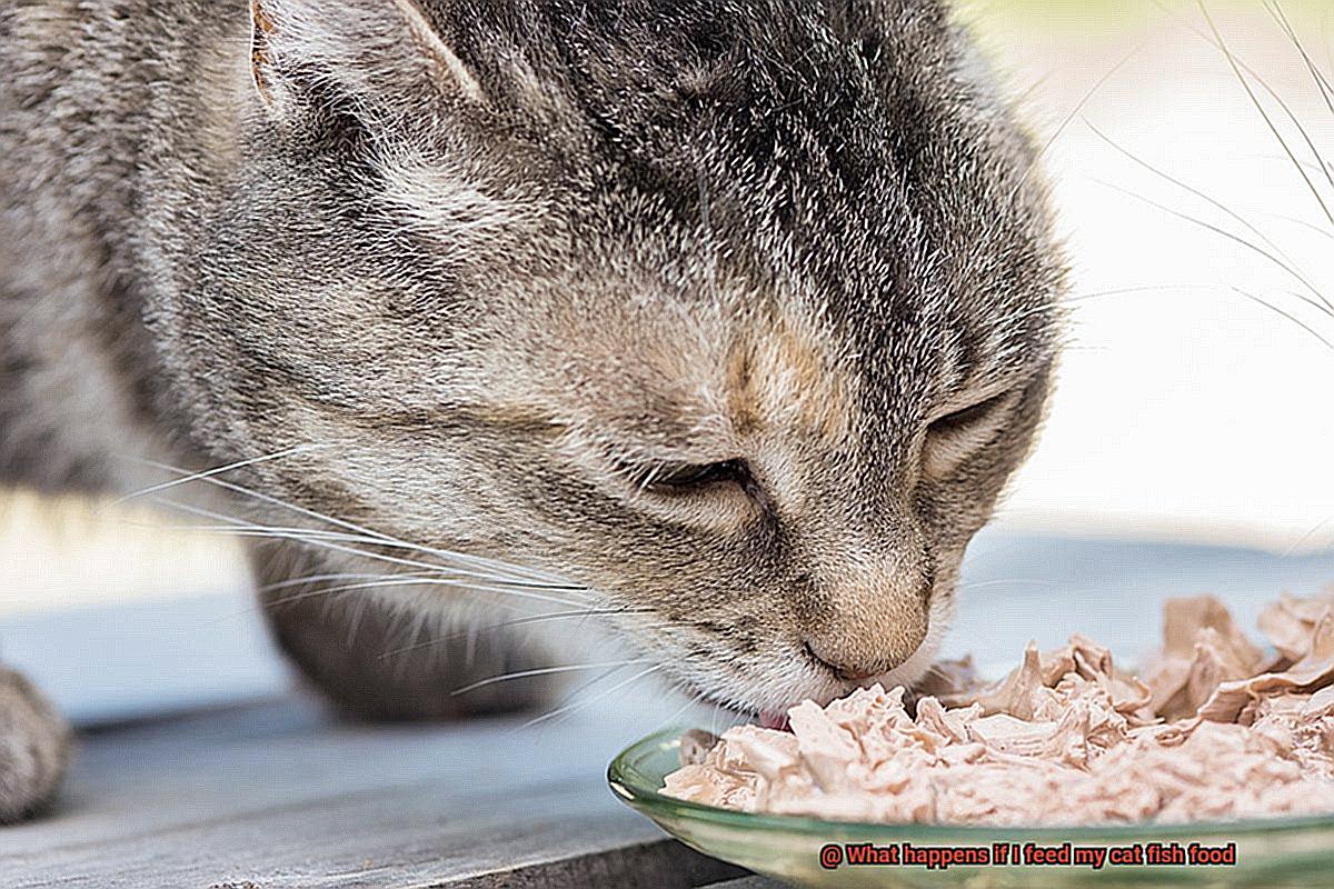 What happens if I feed my cat fish food-2