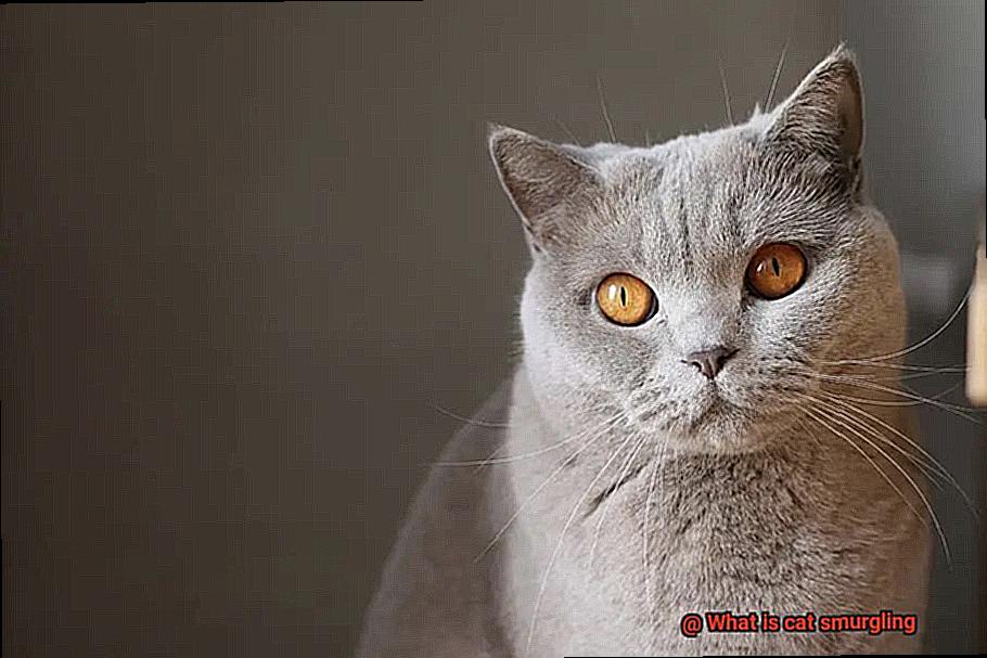 What is cat smurgling-4