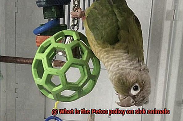 What is the Petco policy on sick animals-5
