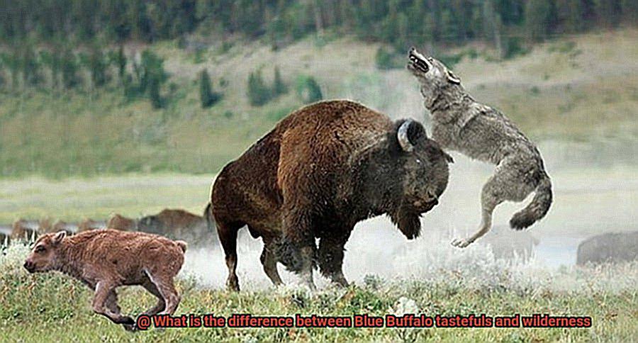 What is the difference between Blue Buffalo tastefuls and wilderness-2
