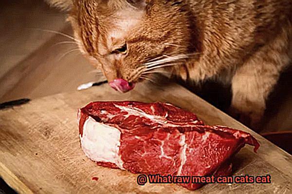 What raw meat can cats eat-3