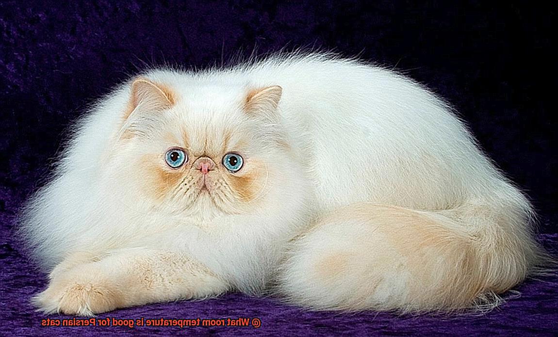 What room temperature is good for Persian cats?