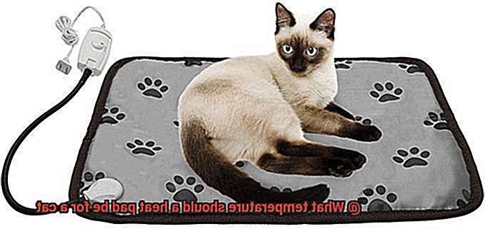What temperature should a heat pad be for a cat-3