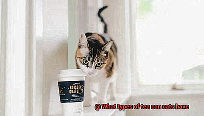 What types of tea can cats have-3