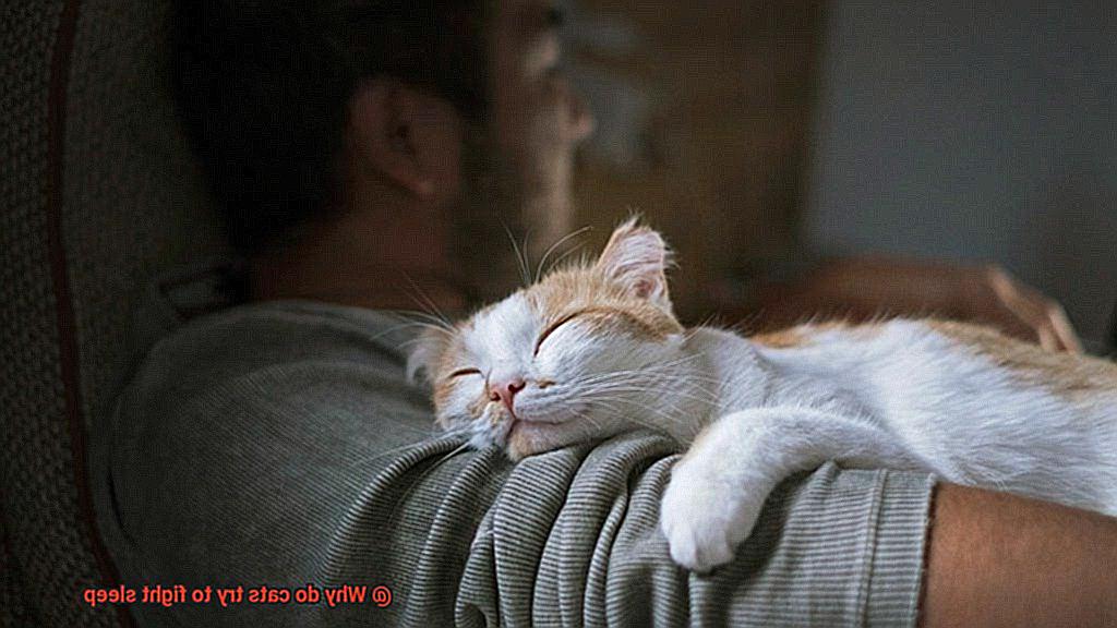 Why do cats try to fight sleep-3