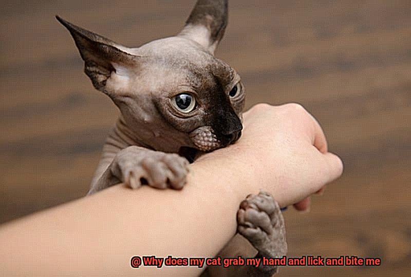 Why does my cat grab my leg and bite me-7