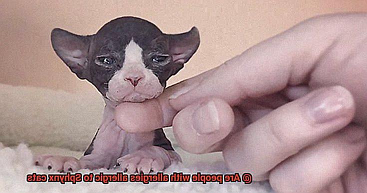 Are people with allergies allergic to Sphynx cats-4