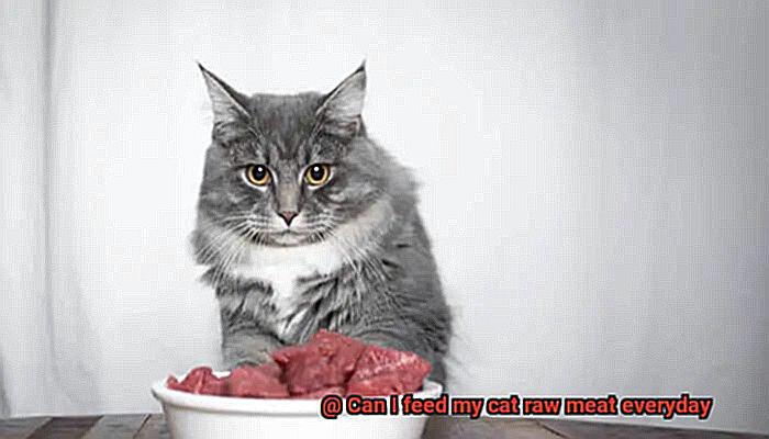 Can I feed my cat raw meat everyday-3