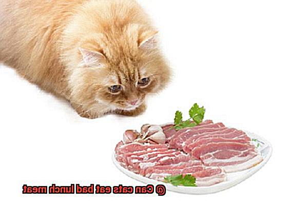 Can cats eat bad lunch meat-3
