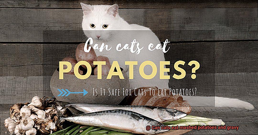 Can cats eat mashed potatoes and gravy-3