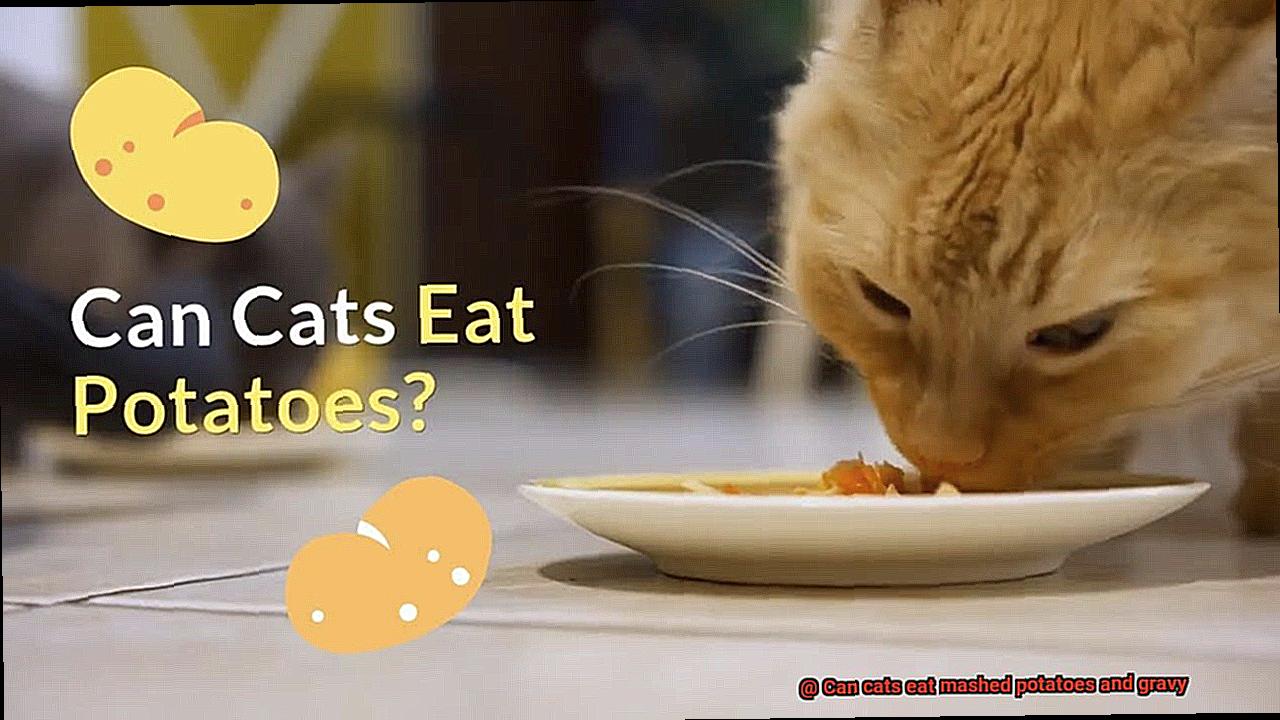 Can cats eat mashed potatoes and gravy-4