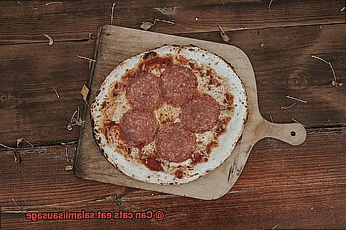 Can cats eat salami sausage-2