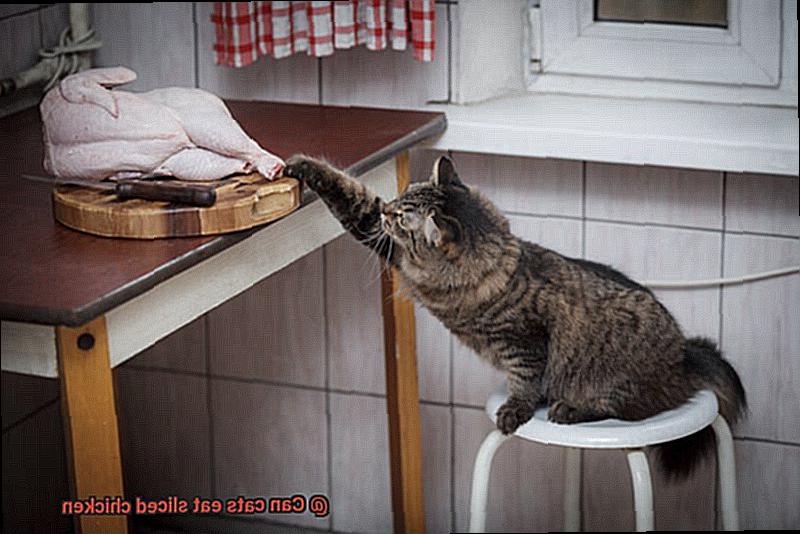 Can cats eat sliced chicken-3
