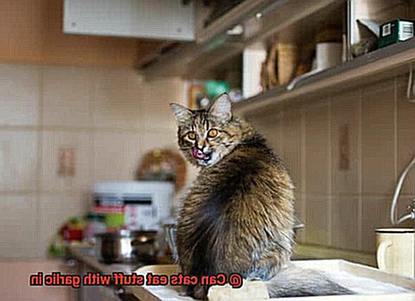 Can cats eat stuff with garlic in-3