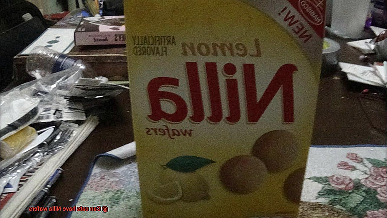 Can cats have Nilla wafers-2