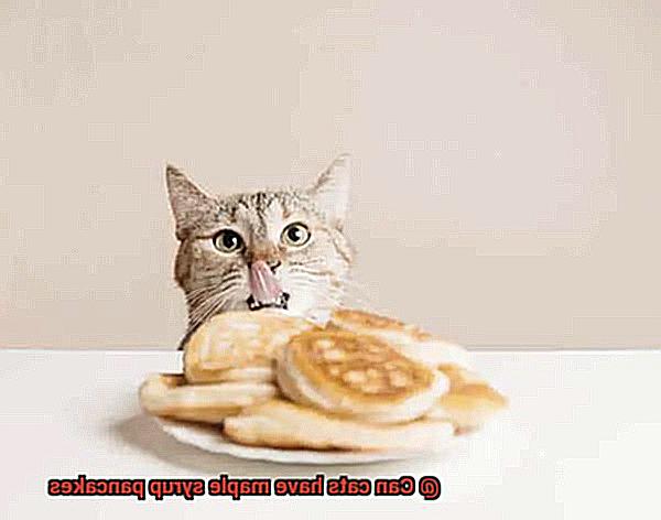 Can cats have maple syrup pancakes-5