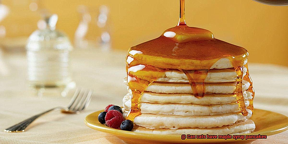 Can cats have maple syrup pancakes-6