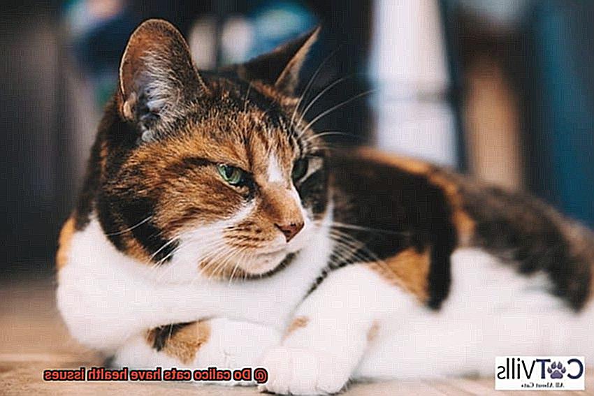 Do calico cats have health issues-2