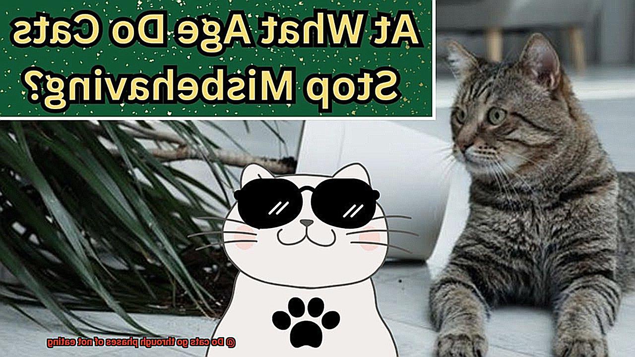 Do cats go through phases of not eating-2