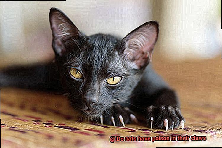 Do cats have poison in their claws-5