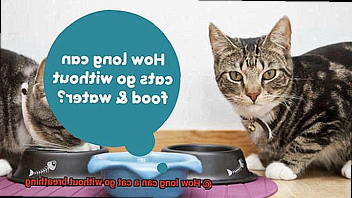 How long can a cat go without breathing-4