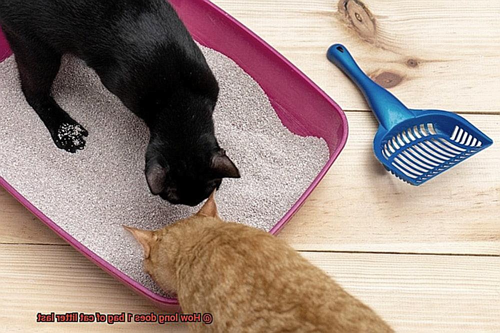 How long does 1 bag of cat litter last-8