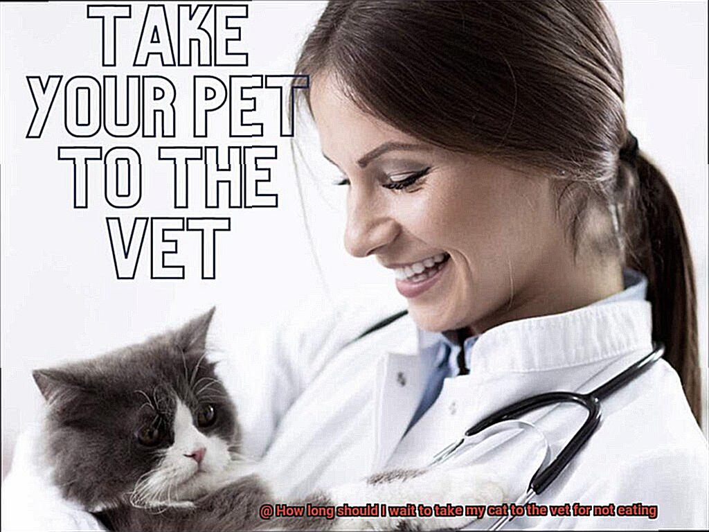 How long should I wait to take my cat to the vet for not eating-3