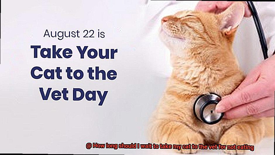 How long should I wait to take my cat to the vet for not eating-2