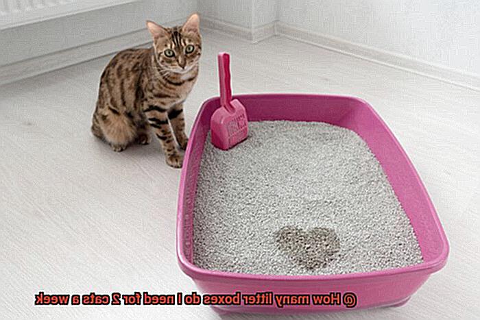 How many litter boxes do I need for 2 cats a week-5